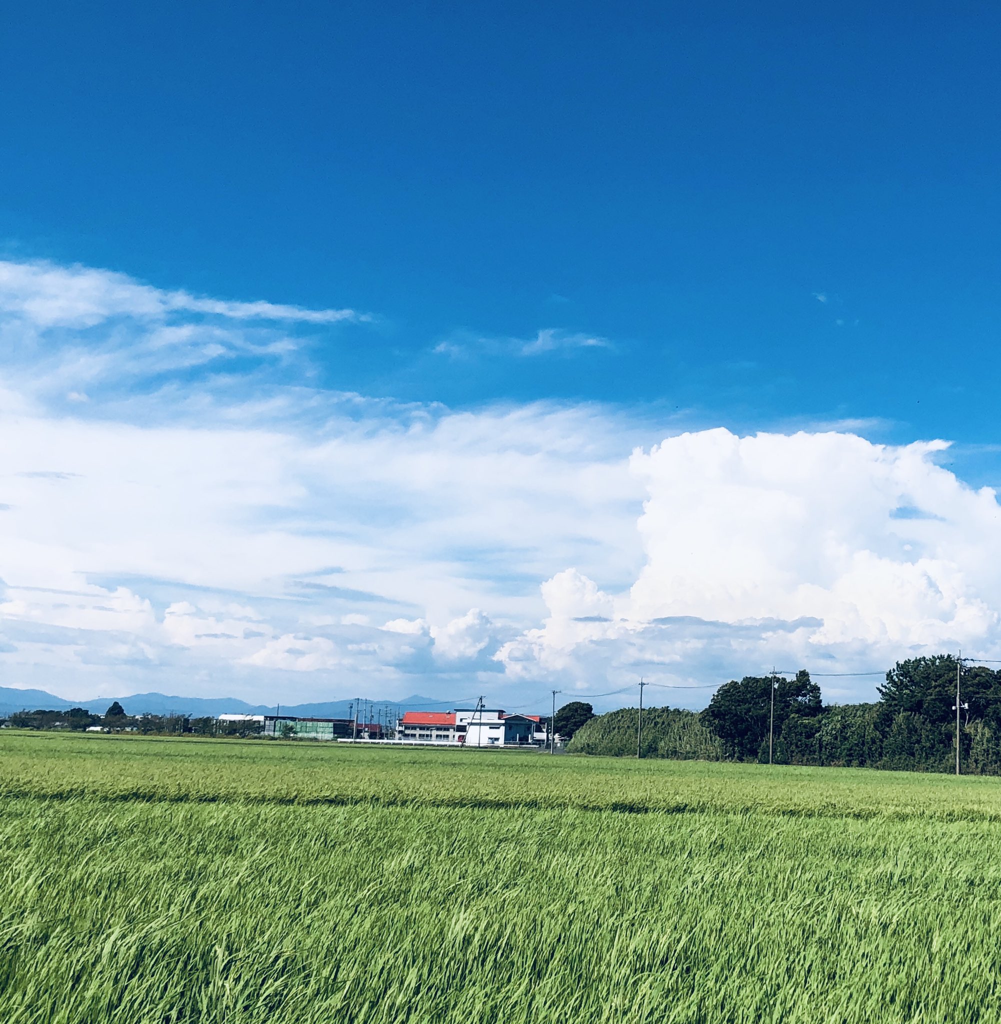 Ruri 0603 田舎の夏空風景 夏空 田舎風景 入道雲 T Co Iqjjniwbyq Twitter