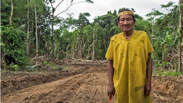 Your August update from Forest Peoples Programme - mailchi.mp/forestpeoples.…