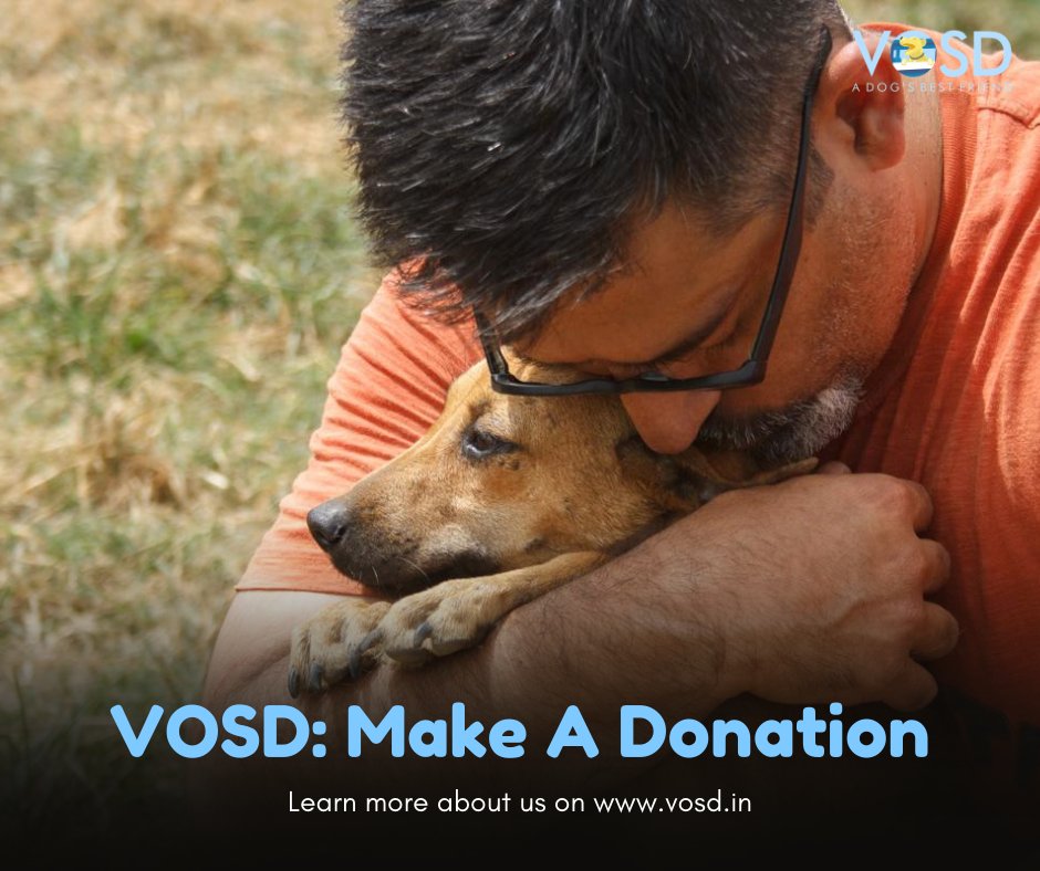 VOSD1's tweet photo. Dogs, like humans, need constant food, medical care, and comfort! To do this, we are asking you for your kind contributions to the VOSD Sanctuary &amp; Hospital. 

Read more here:
https://t.co/Zwim5XuLH0 

#vosddogs #dogsofvosd #dogs #dogcare #donate https://t.co/1XL8m72GAh