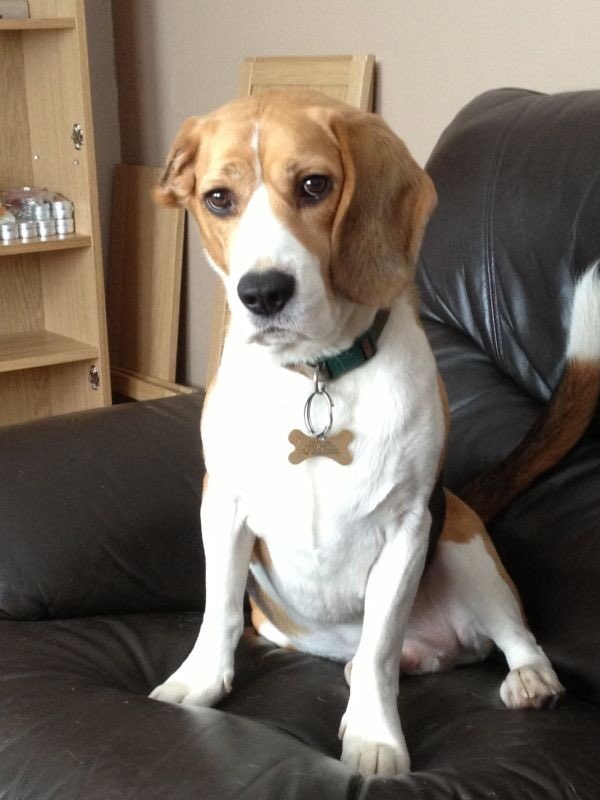 Millie Milward tweet media