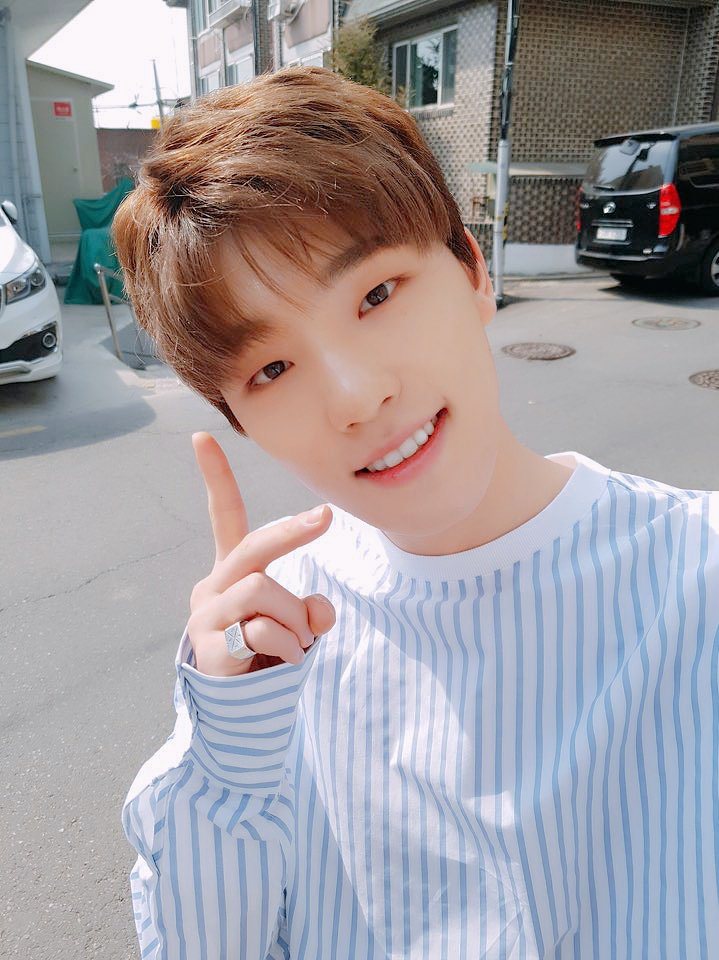 No one asked but here's a long thread of dino selcas posted in their ig and twt accounts  @pledis_17