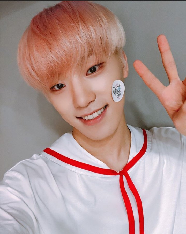 8  #DINO   #디노   #세븐틴  @pledis_17