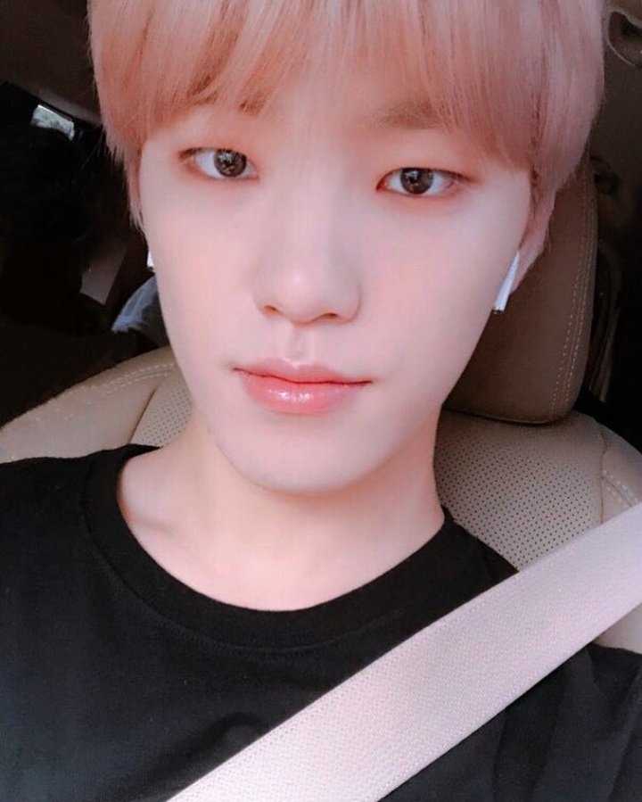 10  #DINO   #디노   #세븐틴  @pledis_17