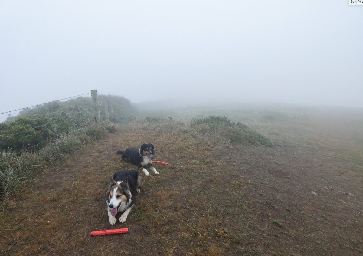 CliffsideKatie's tweet image. And the heatwave continues. Everywhere except in North Cornwall where we are still shrouded in mist ☁️ #heatwave #whatheatwave #thickas