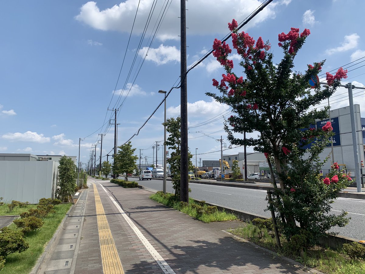 某番組制作の為に三郷まで、、

しかし、田舎と近代住まいが混合する所だなぁーと思った。。