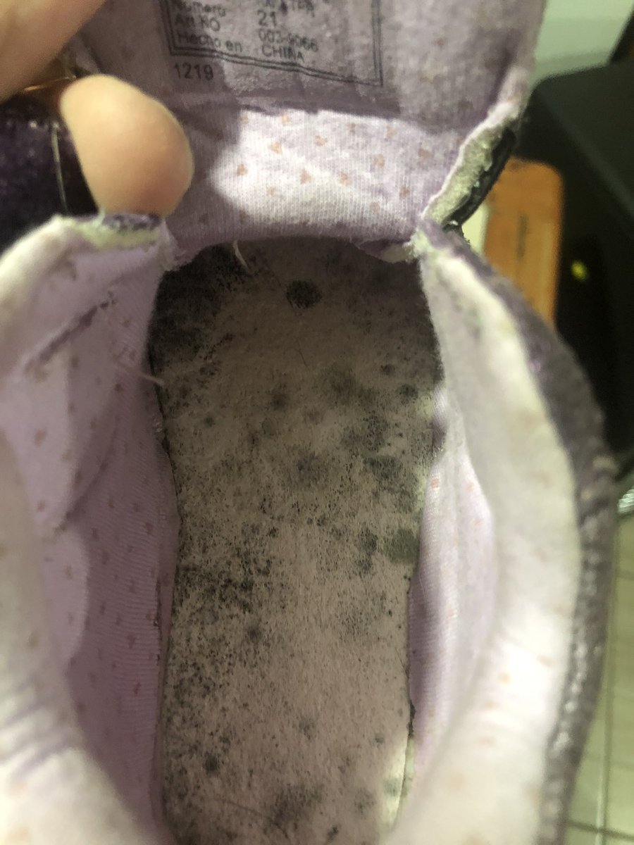 seba160884's tweet photo. Pésima calidad de zapatillas, teniendo 2 meses de la compra, con muy poco uso, se les crearon hongos en su interior si estar expuestas a humedad @BbgChile https://t.co/UcLx0Ppm3k