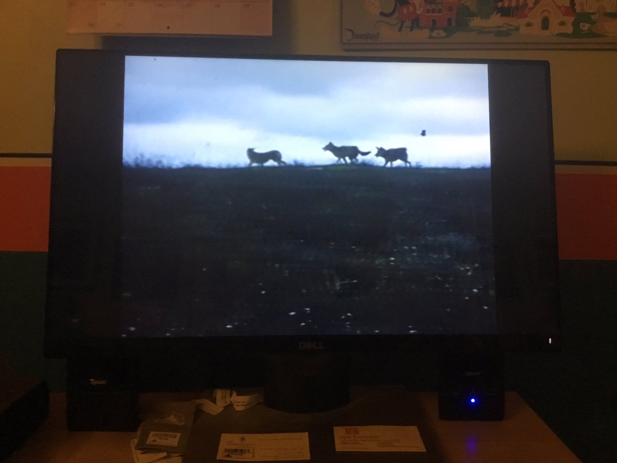 Disneyfan9523's tweet photo. I’m Now Watching Is A Country Coyote Goes Hollywood! #WaltDisneyArchives #D23 #WaltDisney #Disneyland #Disney #ThoseCalloways #ACountryCoyoteGoesHollywood #AtHomeWithD23 #WaltDisneyArchives50thAnniversary #WaltDisneyArchives50 #DisneyArchives50 https://t.co/7mSQdTsGD7