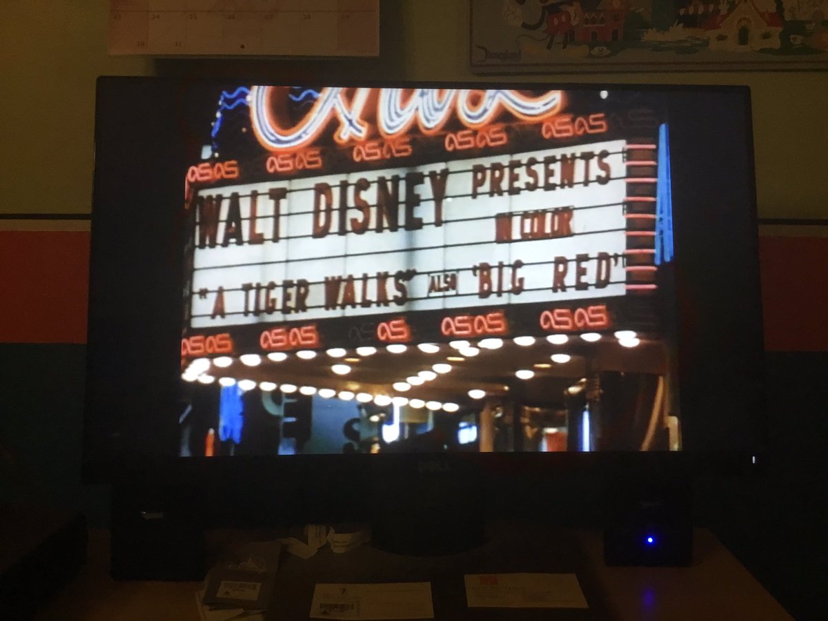 Disneyfan9523's tweet photo. I’m Now Watching Is A Country Coyote Goes Hollywood! #WaltDisneyArchives #D23 #WaltDisney #Disneyland #Disney #ThoseCalloways #ACountryCoyoteGoesHollywood #AtHomeWithD23 #WaltDisneyArchives50thAnniversary #WaltDisneyArchives50 #DisneyArchives50 https://t.co/7mSQdTsGD7