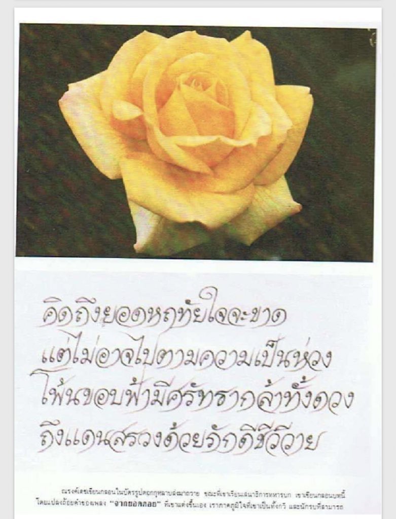 อยากรู้ในงานศพคือเมียเขาเค้าทำหน้าไงเหรอตอนผู้หญิงคนอื่นเดินมาลูบหัวศพผัวตัวเอง แถมทำของชำร่วยแจกชาวบ้านเป็นหนังสือที่มีรูปสวีทหนุงหนิงกะกลอนบอกรักกันไปมาอ่ะ ถถถ #คิดถึงยอดหฤทัยใจจะขาด