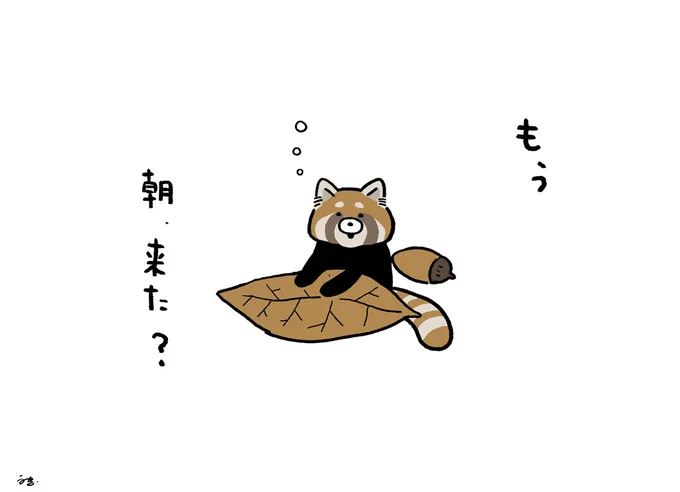 いちいち聞いてくるレッサーパンダ 