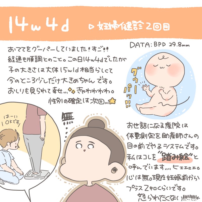 お知らせ ということで 間もなく安定期を迎えますので 皆さんにご報告です こ おかめの漫画