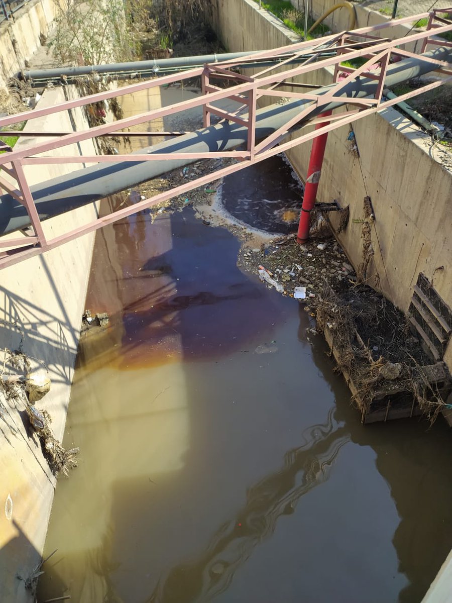 RQuilicura's tweet photo. ☠️ MORTANDAD EN EL ESTERO LAS CRUCES ☠️ Nos ha llegado el siguiente registro, animales muertos en torno a un Estero Las Cruces que luces sus aguas con un inexplicable color rojizo. Exigimos que las autoridades aclaren si la contaminación del agua se relaciona con esta mortandad. https://t.co/HnB4YLvSLj