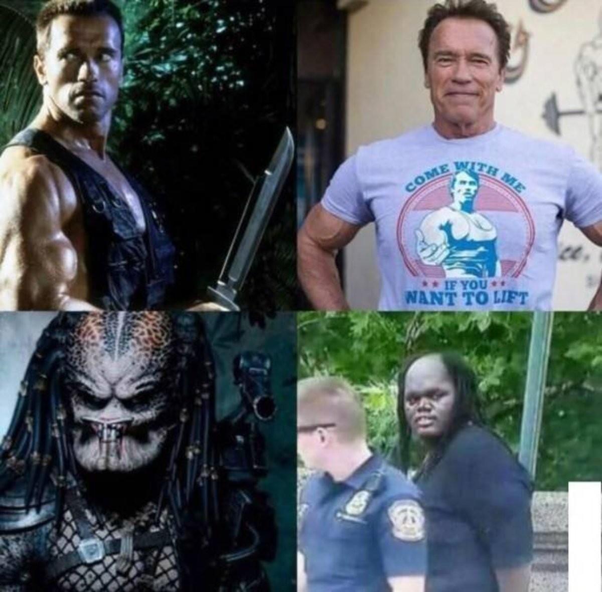 EfMPFcIU8AA0Wv8?format=jpg&name=medium