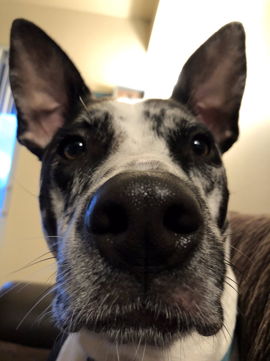 gregoryself's tweet image. Someone is in my personal space tonight