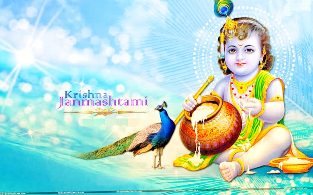 MudgilOfficial's tweet photo. 🌷🙏जय श्री ���ृष्णा🙏🌷

#happyjanmashtami2020 #janmashtami2020 #JaiShriKrishna  #radheradhe 🙏🙏
#Janmashtamispecial #janmashtami2020 
#KrishnaJanmashtami2020 
🌷🙏🌷 #Mudgil #mudgilofficial #mudgilharyanvi #mudgiltopic👌 https://t.co/cjc3AR0AxH