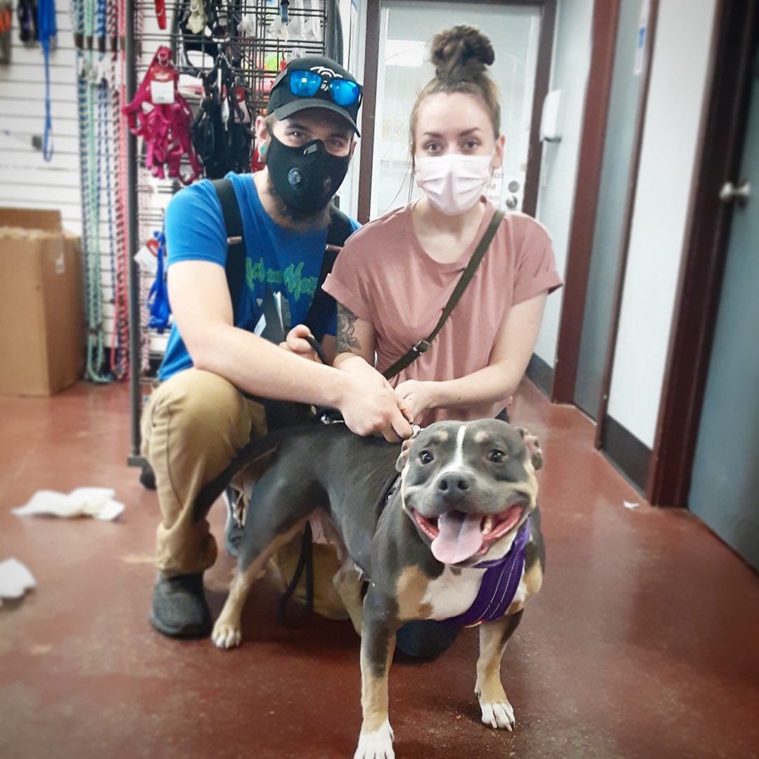 Super smiley, wiggle-bottom Ramona found her family 🐾 She wanted to thank the nice hoomans at <a href="/khq6/">khq</a> for having her on TV on Saturday 🙌

Happy life, sweet girl! 💕

#Adopted2020
#AdoptedDogs #AdoptDontShop
#AdoptedIsOurFavoriteBreed
#SpokaneHumaneSociety