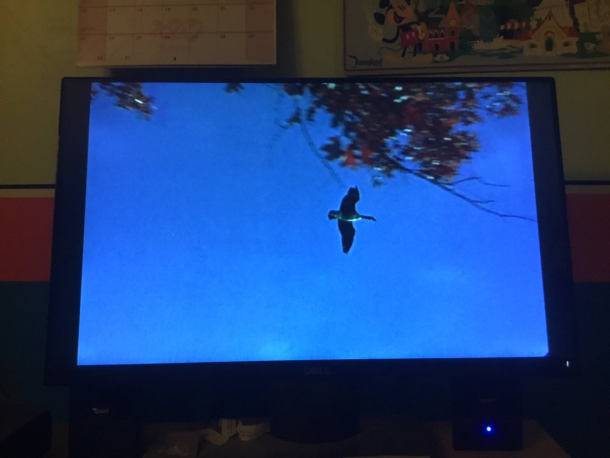 Disneyfan9523's tweet photo. I’m Now Watching On Disney+ Is Those Calloways #WaltDisneyArchives #D23 #WaltDisney #Disneyland #Disney #DisneyPlus #ThoseCalloways #AtHomeWithD23 #WaltDisneyArchives50thAnniversary #WaltDisneyArchives50 https://t.co/Kn8y1iNtyW