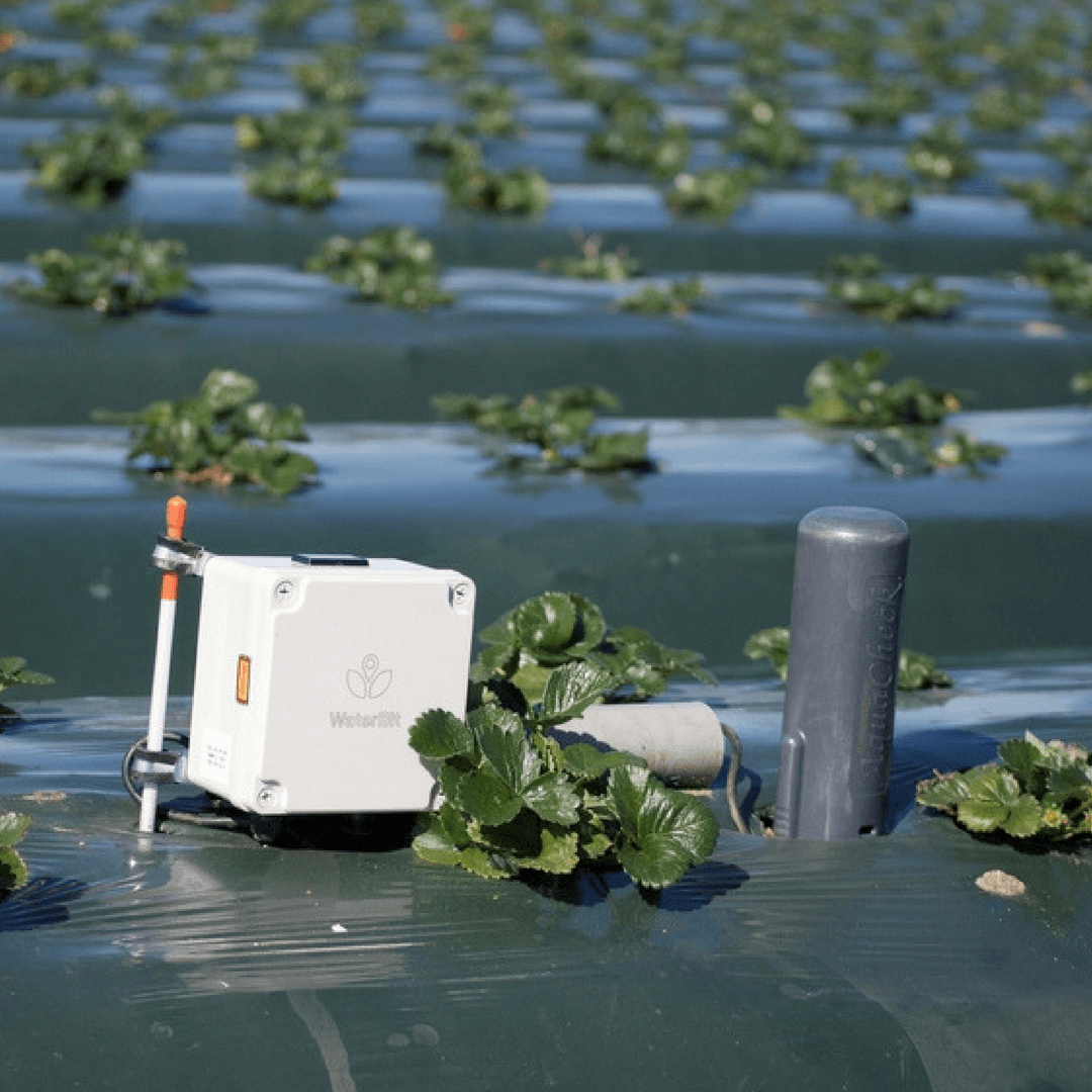 Set predefined soil moisture levels that will automatically trigger irrigation. buff.ly/3bIkQN6 #soilmonitoring #precisionirrigation