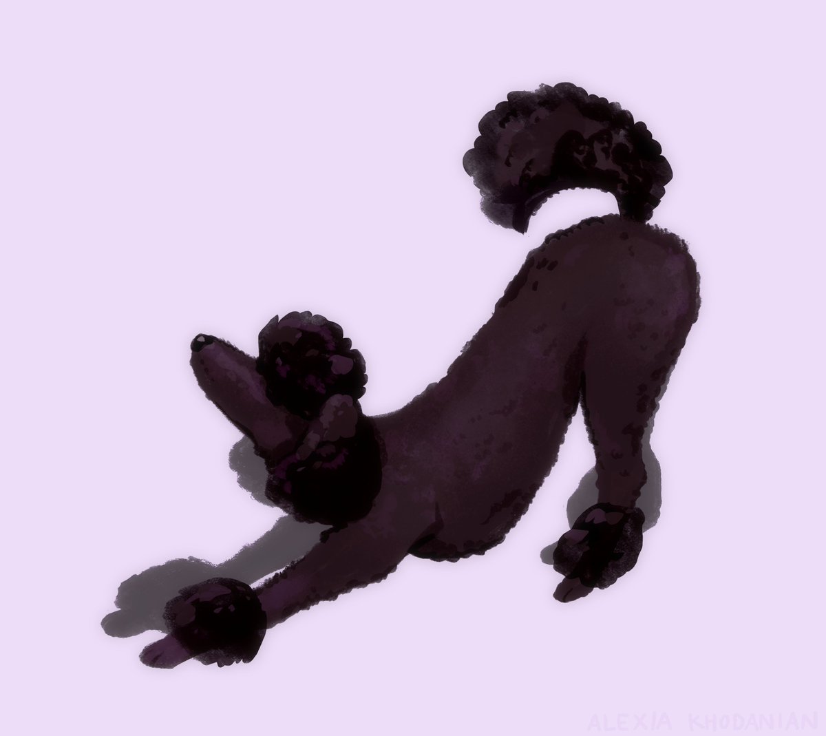  #doggust day 9: Poodle! AKA my twin!! fell behind on posting these but I'm gonna catch right up!