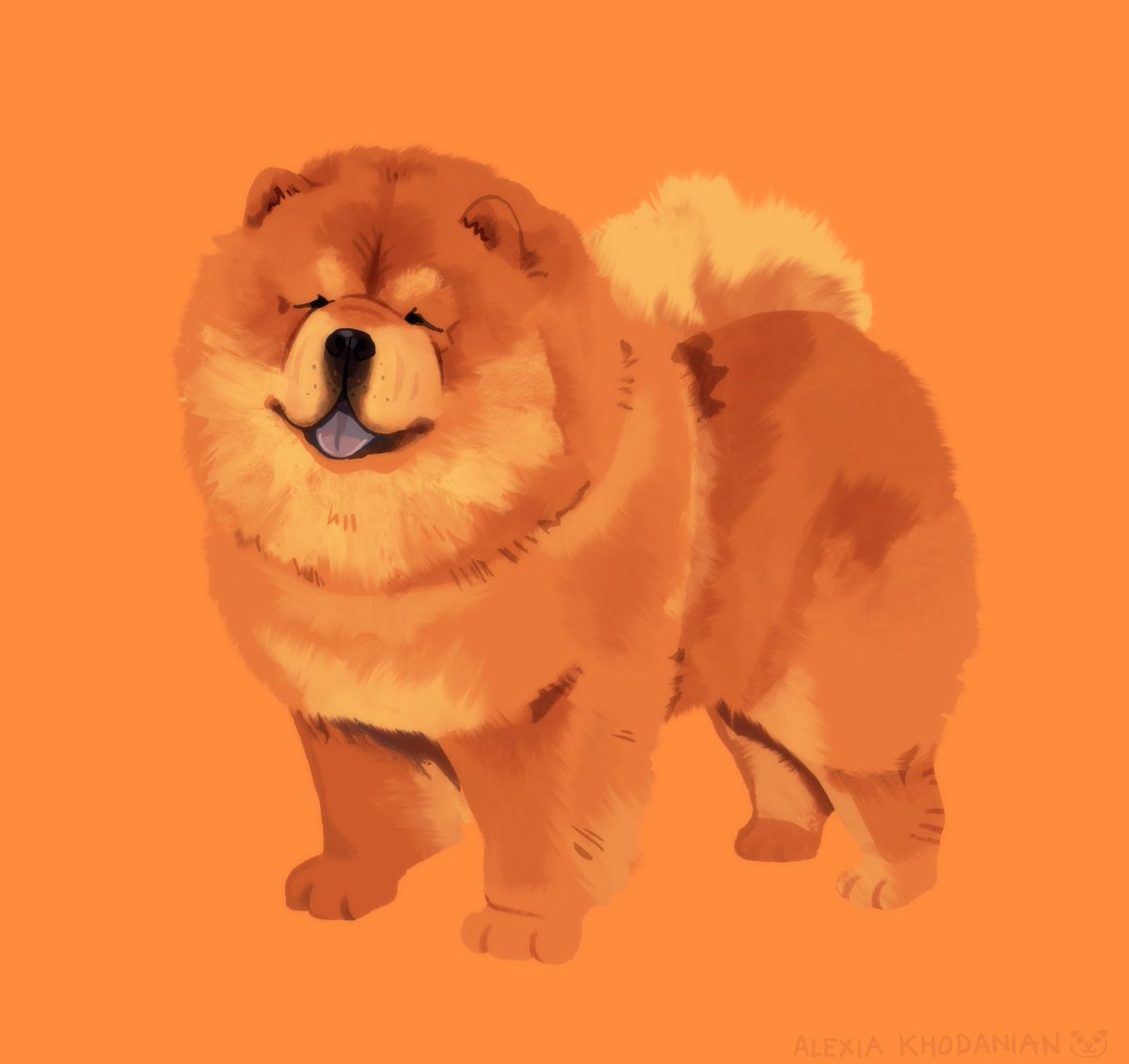  #doggust day 11: CHOW CHOW!! BIGGER FLUFF!