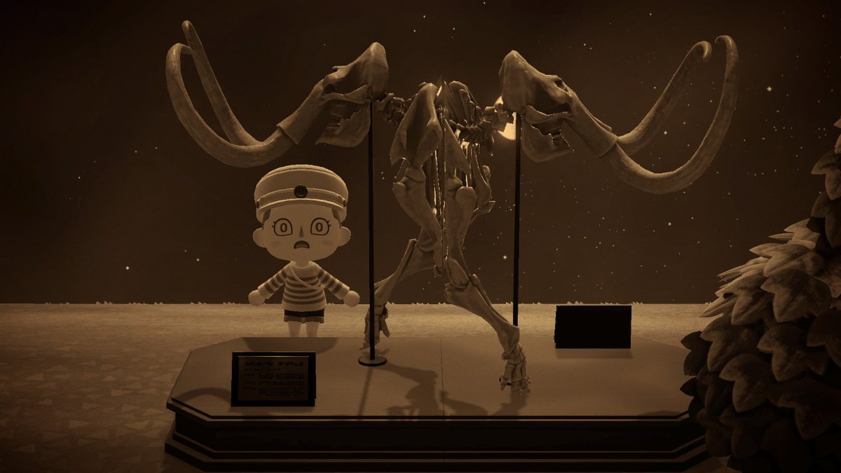 #AnimalCrossing #ACNH #NintendoSwitch