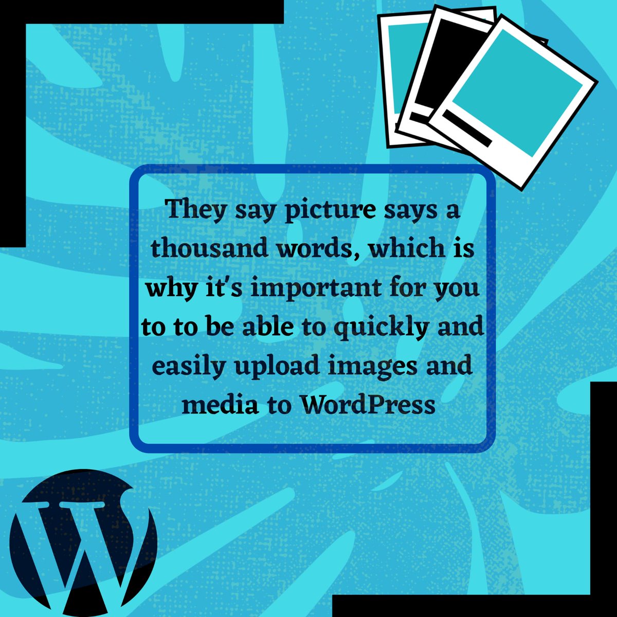 Trolific1's tweet photo. #Wordpress is very effecient, but what makes it work? 
Use images on your website that speaks for your brand.

#Website #WebsiteDevelopment #webdesign #pic https://t.co/FBOoxHaLWn