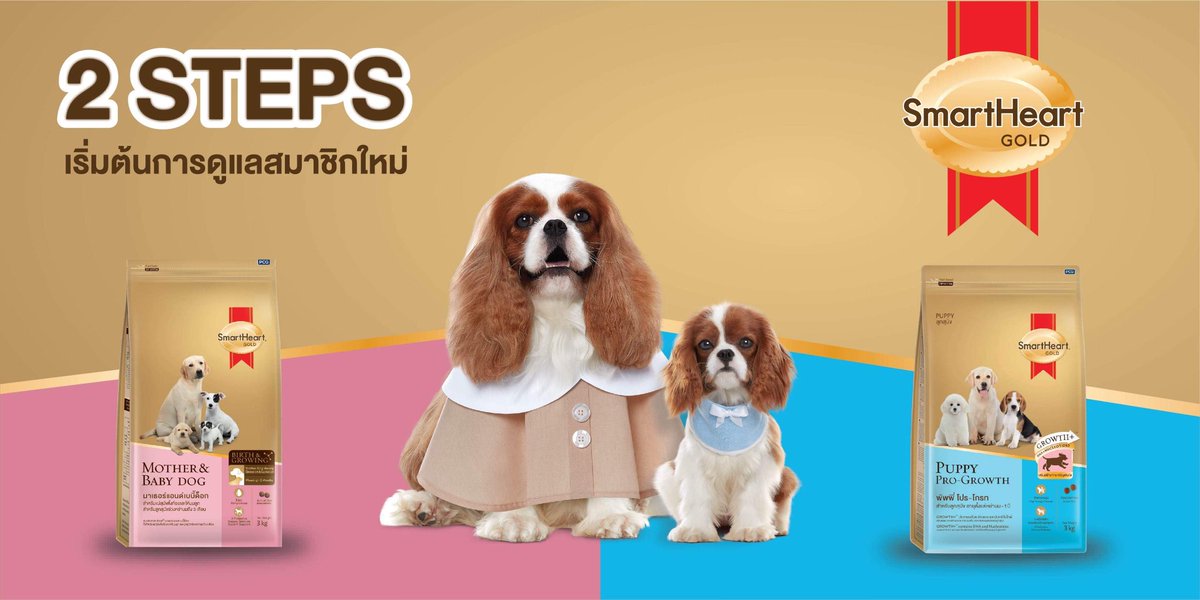 TH_SmartHeart's tweet photo. 2️⃣ STEPS เริ่มต้นการดูแลสมาชิกใหม่กับ SmartHeart Gold🐶

STEP1 📍Mother&amp;Baby Dog
>แม่สุนัขช่วงตั้งท้องและให้นมลูก
>ลูกสุนัขช่วงหย่านม - 3เดือน

STEP2 📍Puppy Pro-Growth
> ลูกสุนัข 3เดือน - 1ปี

🔗เพ็ทช็อปใกล้บ้าน
🔗ห้าง Tesco Lotus, Tops, Makro 
🔗Lazada, Shopee, PCG Shop Online https://t.co/Isum3PPgFg