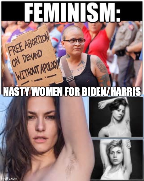co45088266's tweet photo. @kamal_fazal #NastyWomenVote #nastywomen for #BidenHarris2020 https://t.co/9i3VtC2vKj
