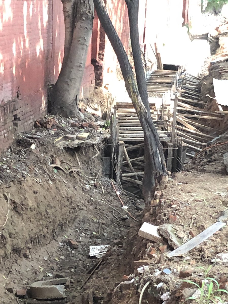 NDNS_HQ's tweet photo. When it’s illegal to dig within 1 meter of #trees but @DelhiPwd continues to break the law anyway. Forest dept has already sent them a notice twice in the last 6 months and yet they are damaging trees. This is in Lodhi Colony near @moefcc. @ArvindKejriwal @Jairam_Ramesh @vimlendu https://t.co/fqIBJCMhGk