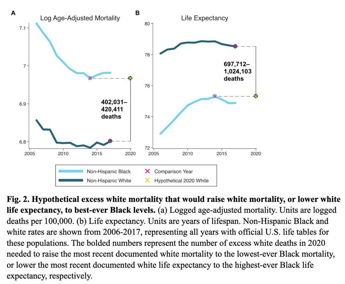 2. In 2020, for white life expectancy to equal Black life expectancy in the US, 700,000 excess white deaths would have to occur. That is like multiplying our current total death count from COVID (all racial and ethnic groups) by 4.3. In other words, the racial gap is enormous.