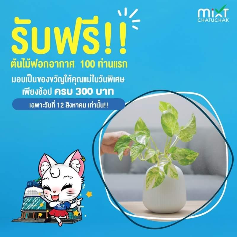 MixtChatuchak's tweet photo. วันแม่ พาแม่เที่ยว
หรือคุณ​แม่จะชวนคุณ​ลูก​เที่ยว ก็ดีต่อใจ มาใช้เวลาด้วยกันอย่างแฮปปี้​ ที่ มิกซ์​ จตุจักร​ นะคะ 💙🎁 https://t.co/GnmbYB6WTo