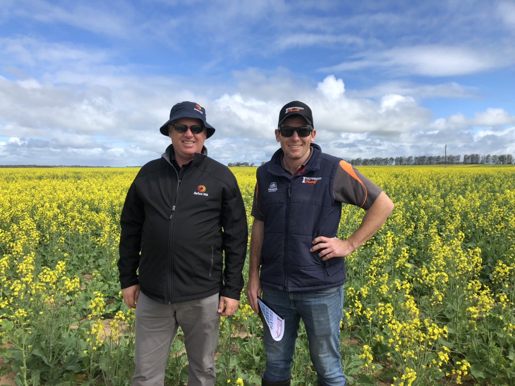 Justin Collins tweet media