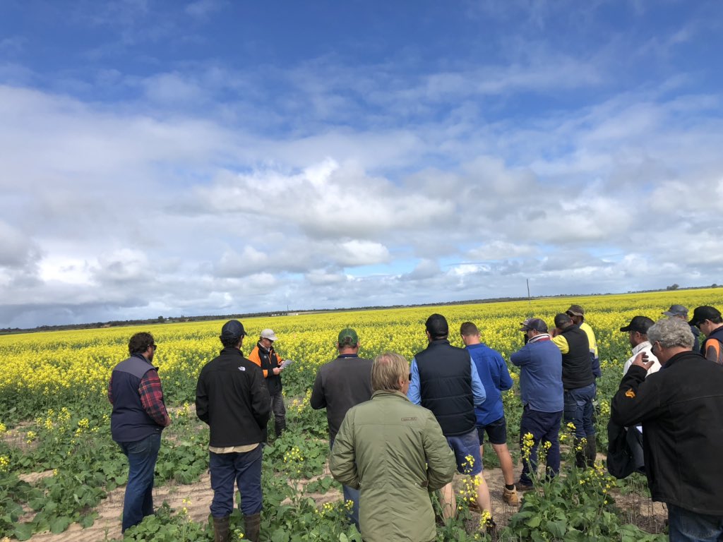 Justin Collins tweet media