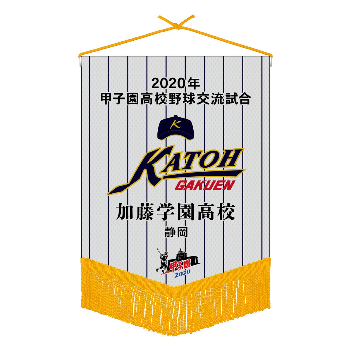 2020年甲子園高校野球交流試合】 第三日 第二試合 鹿児島城西(鹿児島