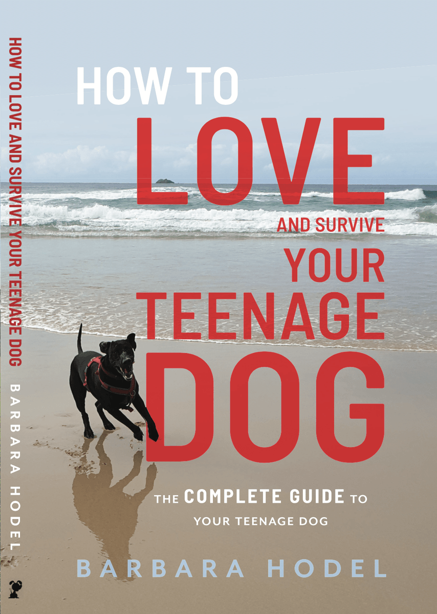 OzDogLover's tweet photo. In her new book How to Love & Survive Your #TeenageDog, #DeltaInstitute qualified #dogtrainer @BarbaraHodel shows how you can successfully cope through this challenging life stage, improve your relationship, keep your sanity and even have some fun! 🐶📘🙌
https://t.co/vBXmhsYPZl https://t.co/PvPaYQc1db