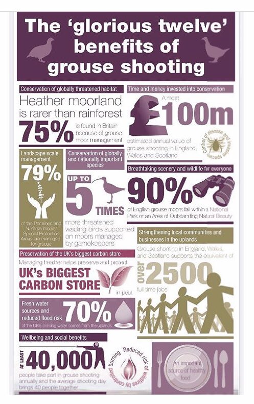 shepherdess23's tweet photo. Happy glorious 12th everyone! Check out this fab poster from @TheGameFair #countrylife #countrysidealiance #moorland #grouse https://t.co/AwYG1AREhI
