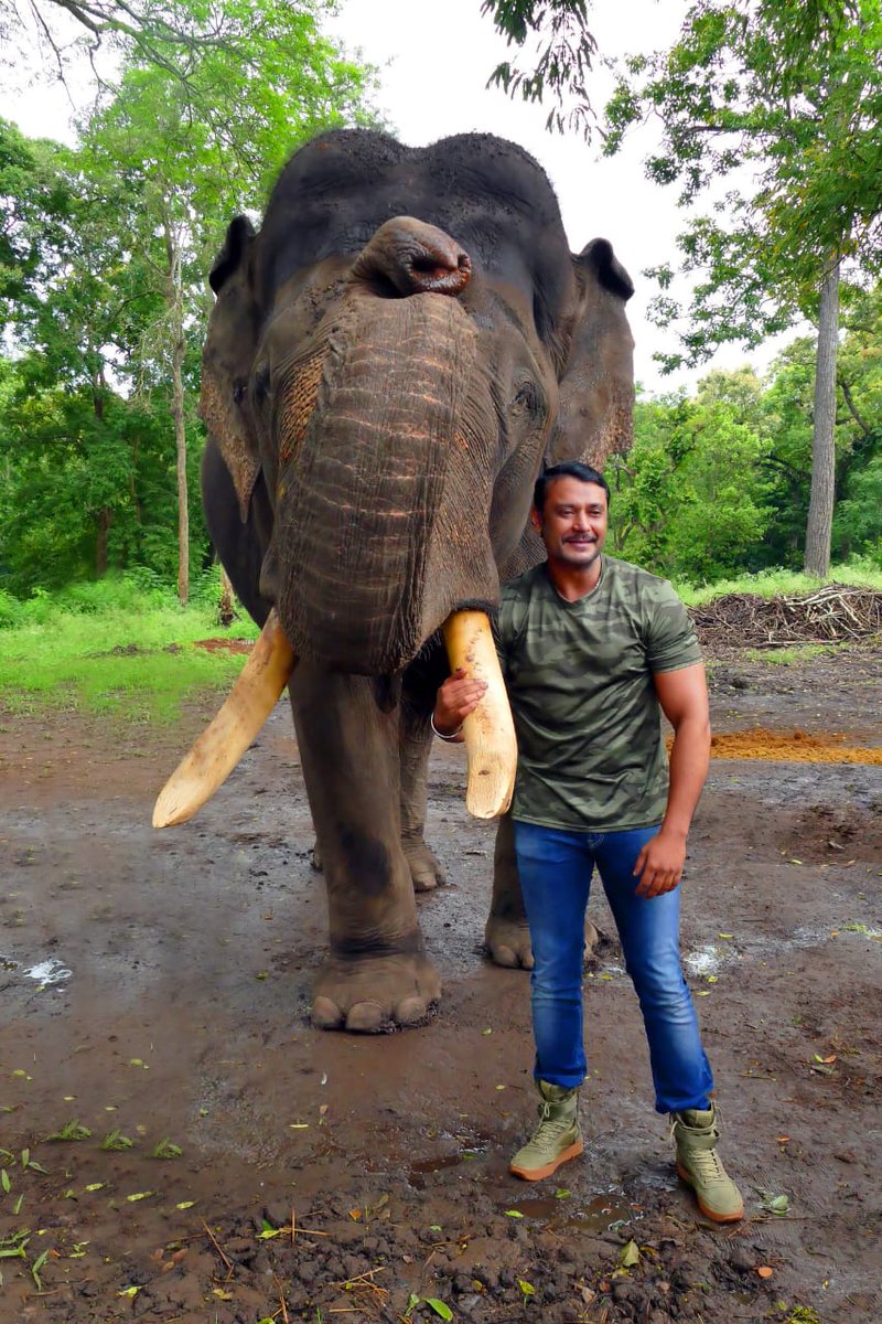 dasadarshan's tweet photo. ಇಂದು ಆಗಸ್ಟ್ 12 'ವಿಶ್ವ ಆನೆ ದಿನ' ಈ ಸಂದರ್ಭದಲ್ಲಿ ಆನೆಗಳು ಎದುರಿಸುತ್ತಿರುವ ಹಲವಾರು ಬೆದರಿಕೆಗಳಿಂದ ಅವುಗಳನ್ನು ಸಂರಕ್ಷಿಸಲು ಮತ್ತು ಸಹಾಯ ಮಾಡುವುದಾಗಿ ನಾವೆಲ್ಲರೂ ಪ್ರತಿಜ್ಞೆ ಮಾಡೋಣ.
@aranya_kfd https://t.co/M8qpe46aDB