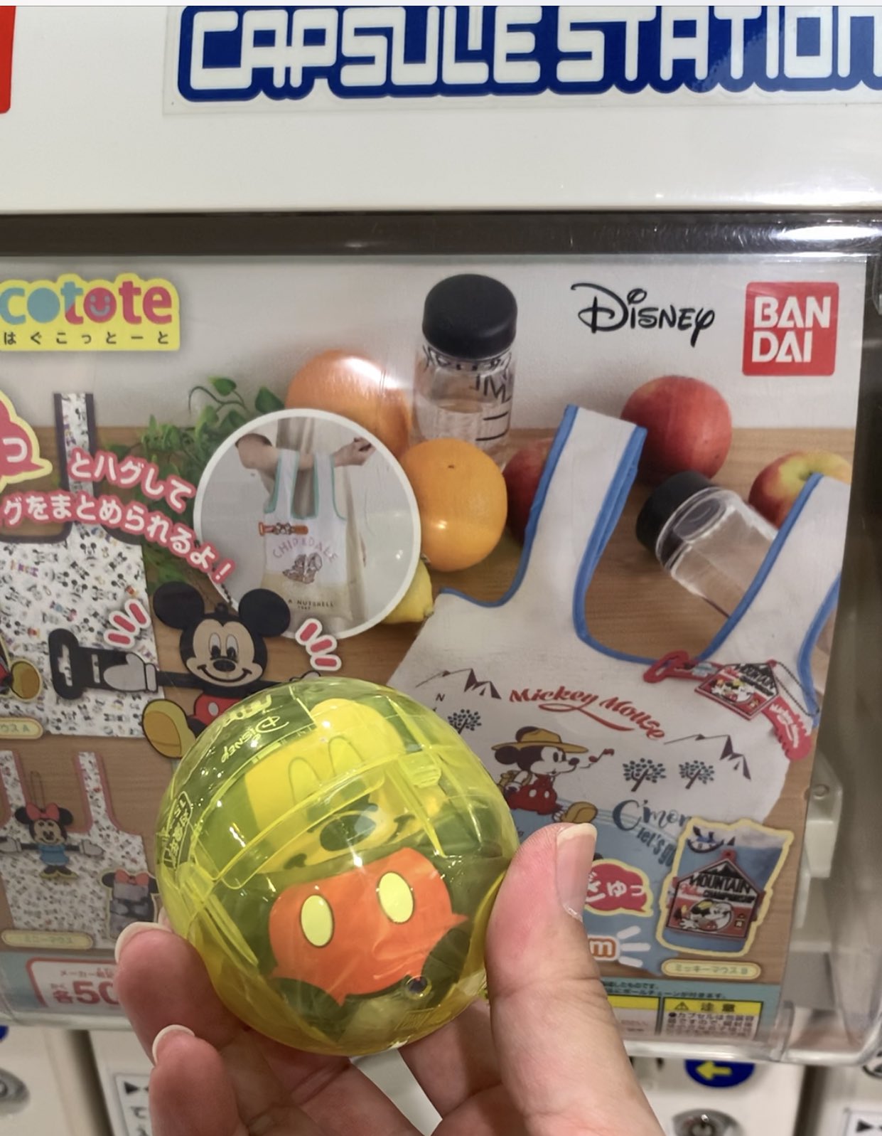 Hiro 4種類制覇 4つ片手に持てなかったので2枚に はぐこっとーと ディズニーエコバッグ エコバッグ ディズニー トイカプセル ディズニーガチャ ガチャガチャ Disney