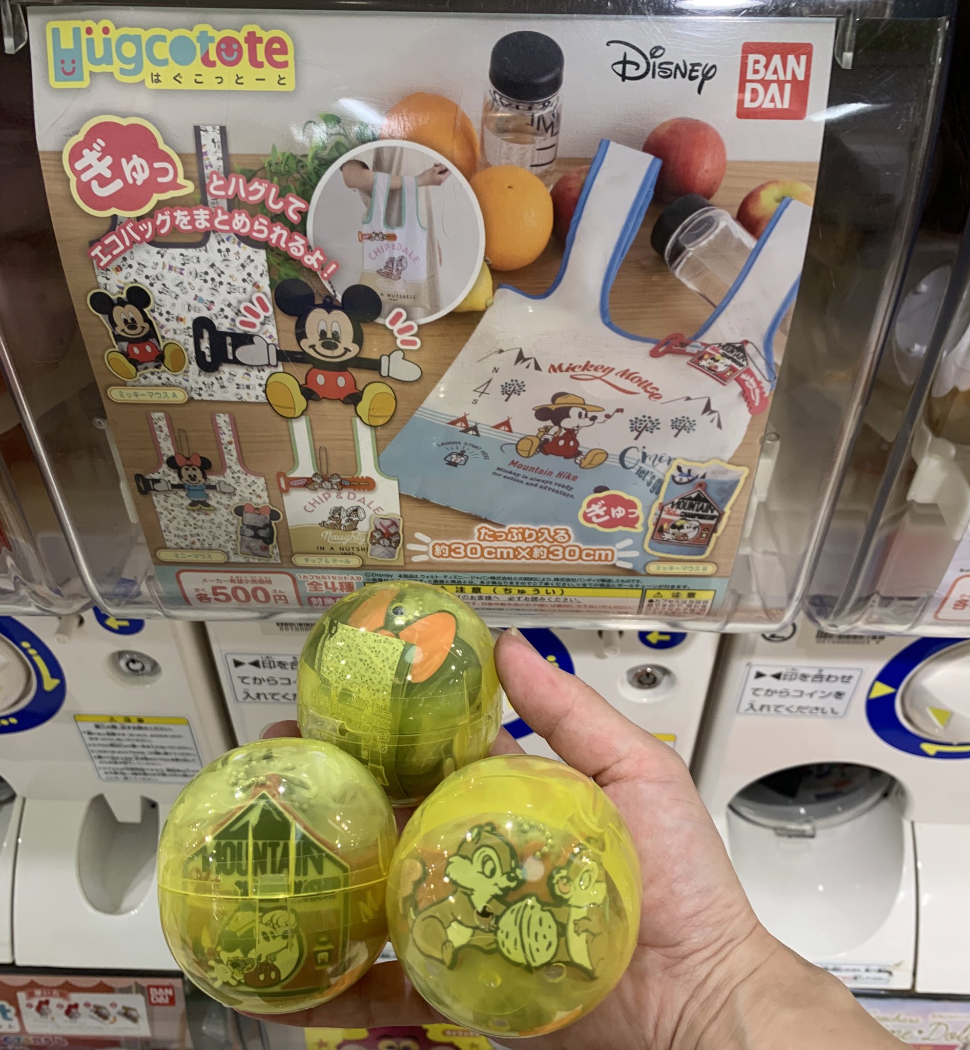 Hiro 4種類制覇 4つ片手に持てなかったので2枚に はぐこっとーと ディズニーエコバッグ エコバッグ ディズニー トイカプセル ディズニーガチャ ガチャガチャ Disney