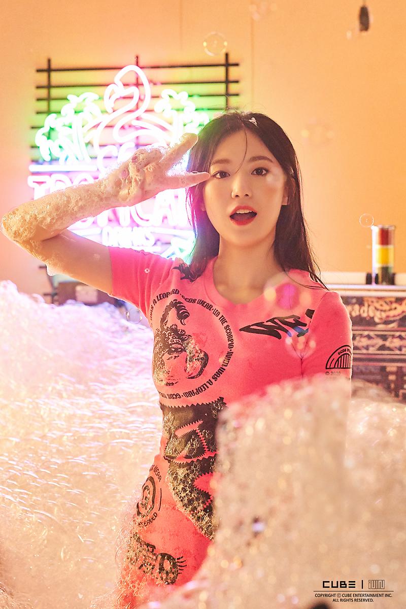 shuhua pics tweet media