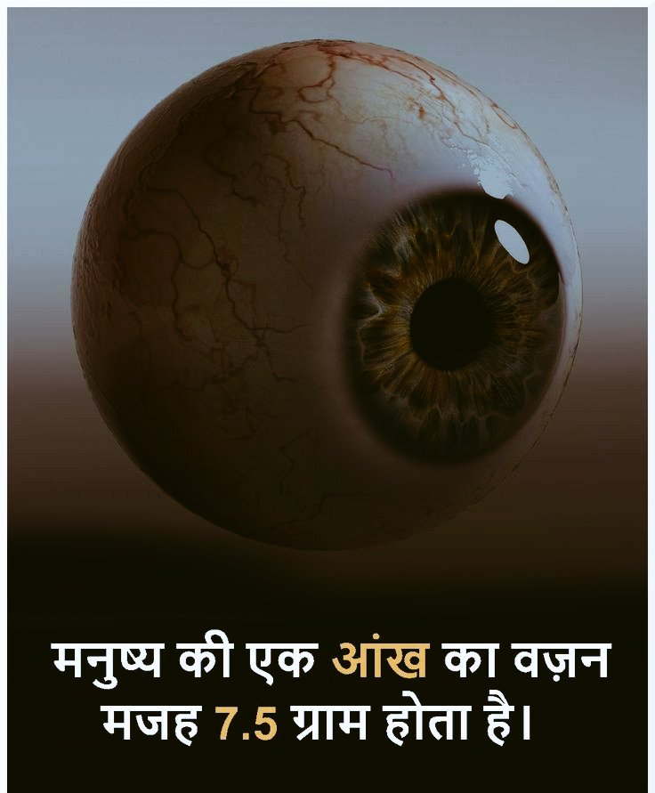surajsingh01352's tweet photo. https://t.co/60TryJsemE