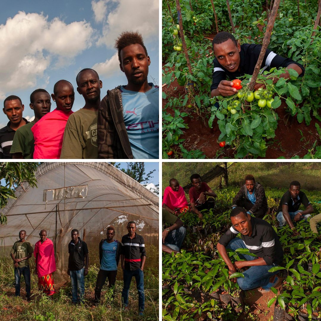 WFP_Kenya's tweet photo. Agriculture is key to Kenya's economy. However, the majority of people working in the sector are aged 50-65 years. WFP is partnering with government to encourage #youth engagement in #agribusiness to create employment & achieve food security #YouthDay #InternationalYouthDay2020 https://t.co/YrcXMNeKa6