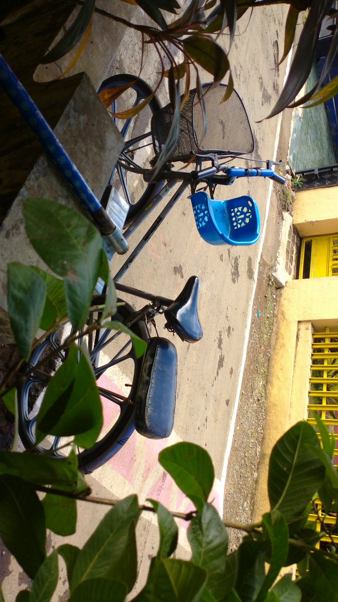 aida_laily's tweet image. Alhamdulillah masih bisa kemana-mana dengan cara naik sepeda

#8week