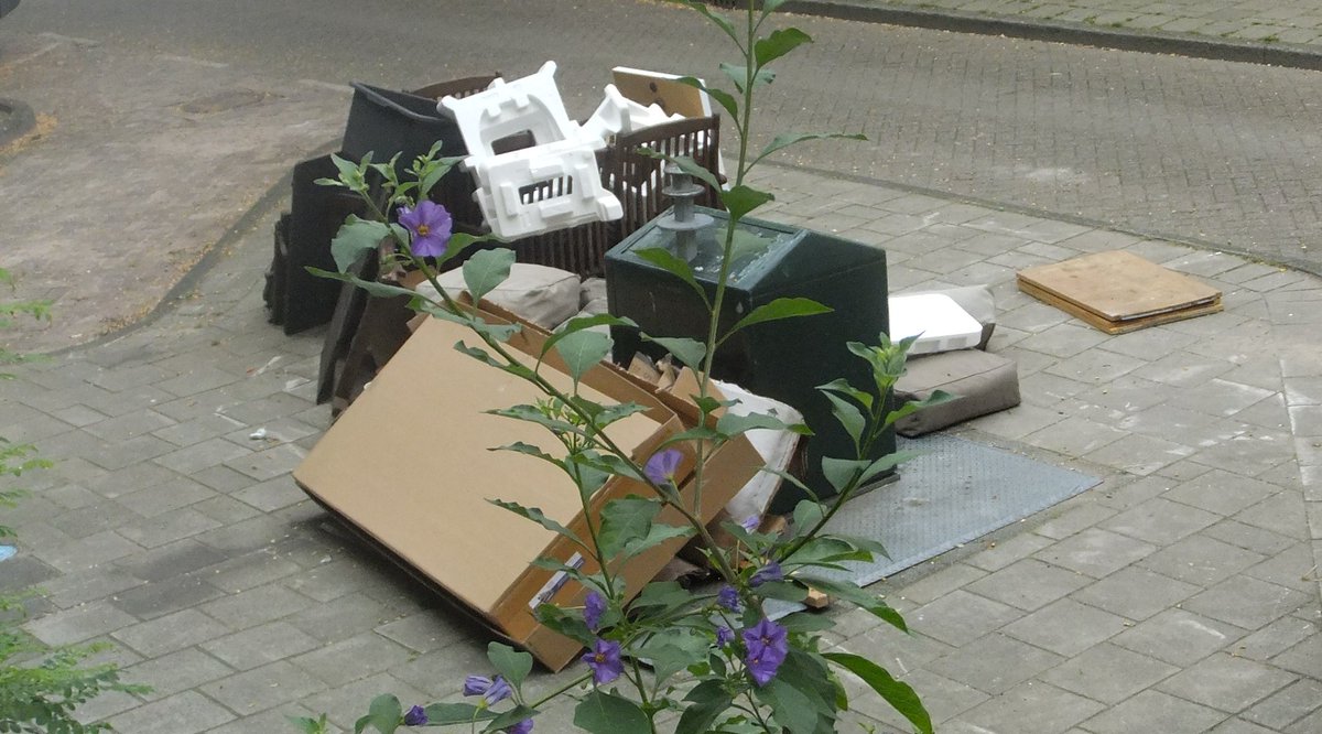 poeetweet's tweet photo. #GrofVuil 12-08-2020 Woensdag #Ophaaldag https://t.co/eo4HWqlcV6