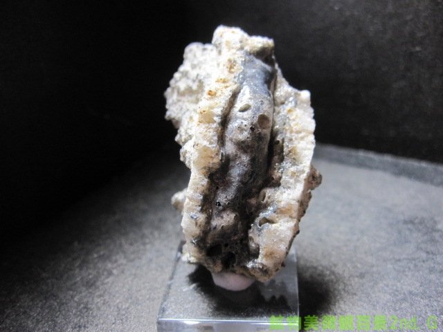 雷管石 フルグライト Fulgurites 雷管石 閃電岩 1点もの 現品撮影 FUL-71