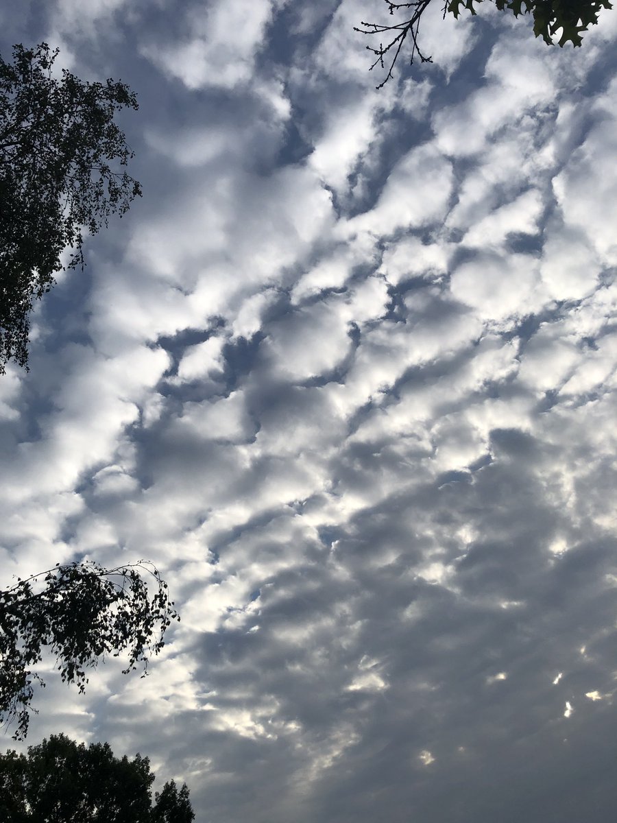 Anatoli Macarov tweet media