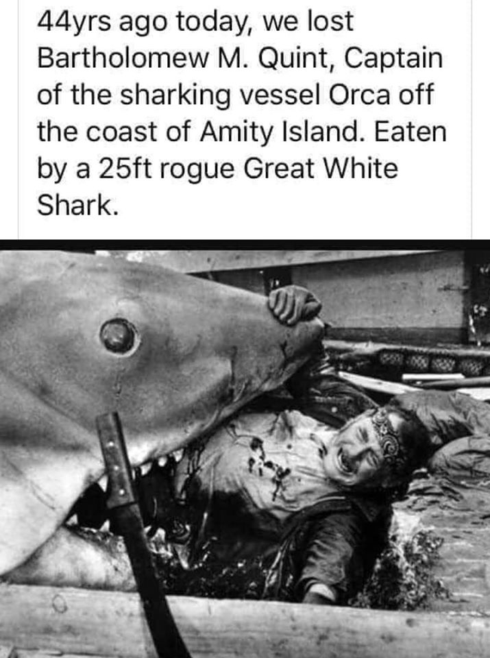 PrepSportsPlus's tweet photo. #JawsAwakens #Jaws #movies https://t.co/8tCHm7Yq3J