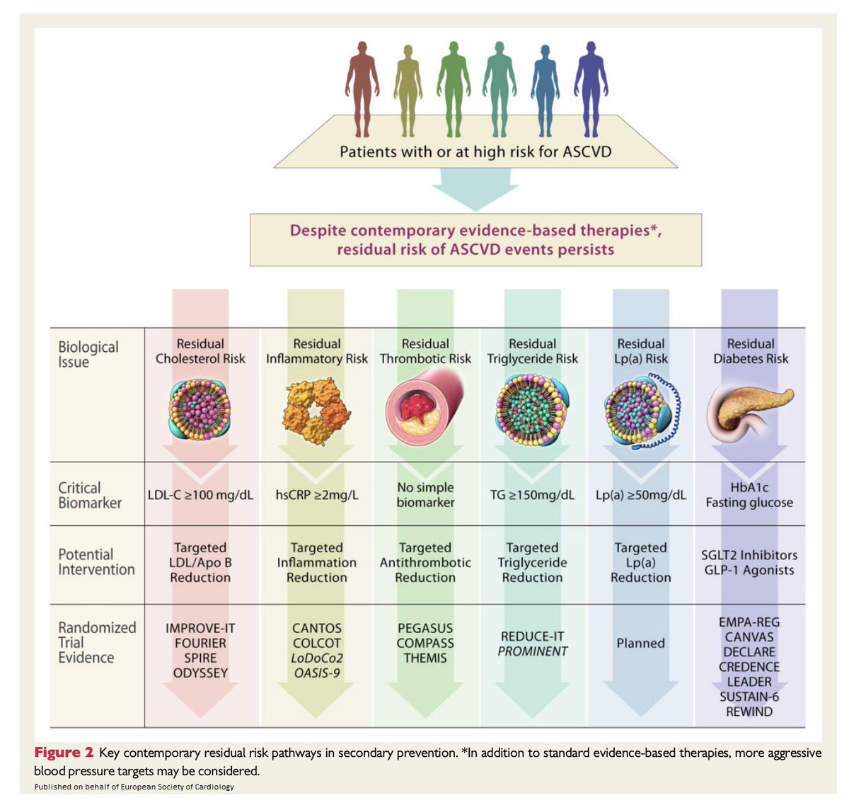 ESC_Journals's tweet image. Targeting #cardiovascular inflammation: next steps in clinical translation bit.ly/3ad1ReC

@escardio #EHJ #ESC_Young #cardiotwitter @ehj_ed