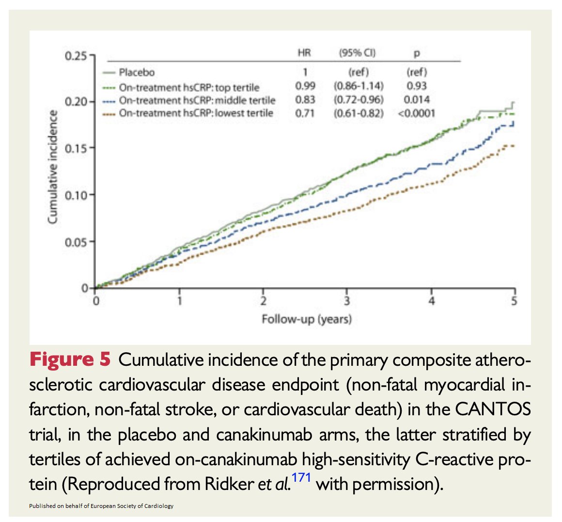 ESC_Journals's tweet image. Targeting #cardiovascular inflammation: next steps in clinical translation bit.ly/3ad1ReC

@escardio #EHJ #ESC_Young #cardiotwitter @ehj_ed