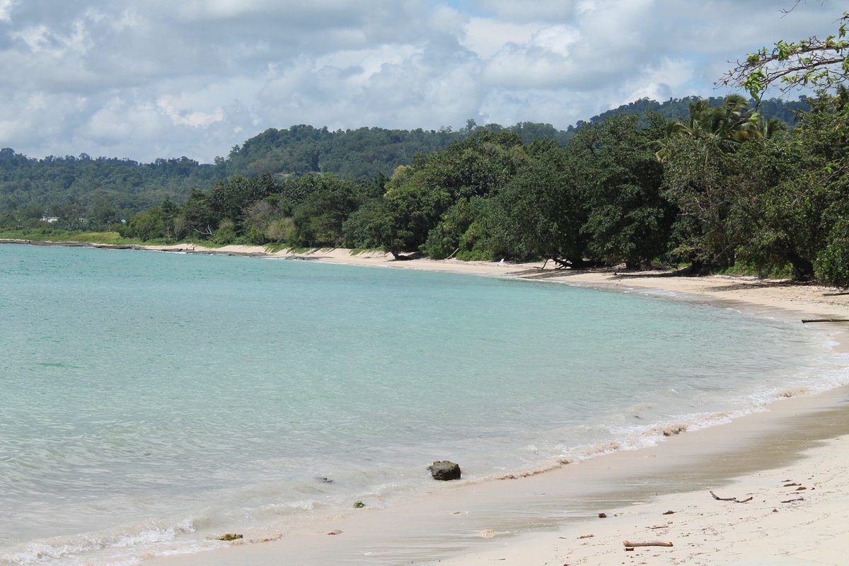 laif_thrumyeyes's tweet photo. The view of Dali #Beach, Vanimo, Sandaun Province in #PNG https://t.co/qN07adRg6a